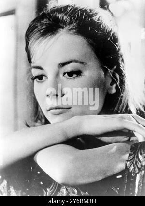 SCHAUSPIELERIN NATALIE WOOD PLENDOR IN THE GRAS / 8. MÄRZ 1962 Stockfoto