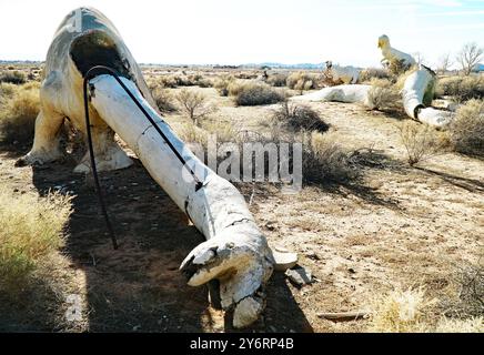 Die verlassenen Dinosaurierruinen aus Beton im Apple Valley, Kalifornien, sind ein faszinierender und unheimlicher Anblick. Diese Dinosaurier wurden in den 1970er Jahren von Lonnie Coffman für einen Minigolfplatz geschaffen, der nie fertiggestellt wurde. Stockfoto