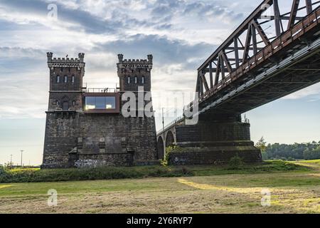 Die Eisenbahnbrücke Duisburg-Hochfeld-Rheinhausen, über den Rhein, Regionalzüge und viele Güterzüge überqueren hier den Rhein, ab 1950 Stahlfachwerk b Stockfoto