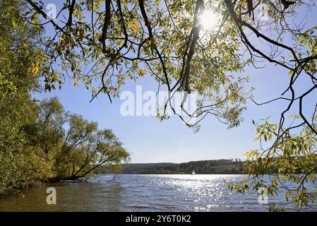 Laubbäume mit Herbstlaub am Seeufer, blauer Himmel, Sonnenstern, Moehne-Staudamm, Nordrhein-Westfalen, Deutschland, Europa Stockfoto