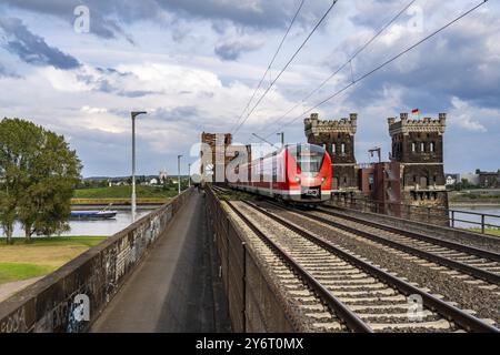 Die Eisenbahnbrücke Duisburg-Hochfeld-Rheinhausen, über den Rhein, Regionalzüge und viele Güterzüge überqueren hier den Rhein, ab 1950 Stahlfachwerk b Stockfoto