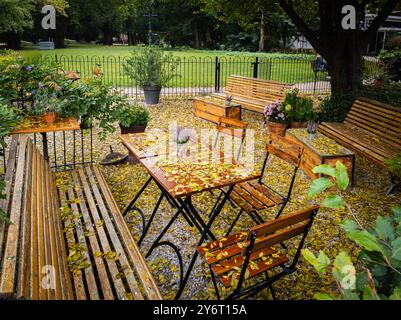 Eine gemütliche Herbstszene in Leiden, Niederlande, mit Sitzgelegenheiten im Freien mit Holztischen und Stühlen, die mit heruntergefallenen Blättern bestreut sind, in der Nähe einer ruhigen Atmosphäre Stockfoto