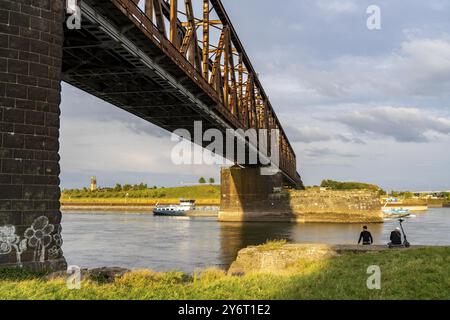 Die Eisenbahnbrücke Duisburg-Hochfeld-Rheinhausen, über den Rhein, Regionalzüge und viele Güterzüge überqueren hier den Rhein, ab 1950 Stahlfachwerk b Stockfoto