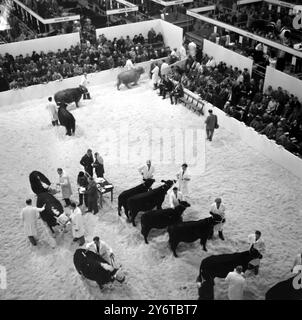 LANDWIRTSCHAFTSAUSSTELLUNG IN LONDON AM EARLS COURT - ALLGEMEINE ANSICHT 4. DEZEMBER 1961 Stockfoto