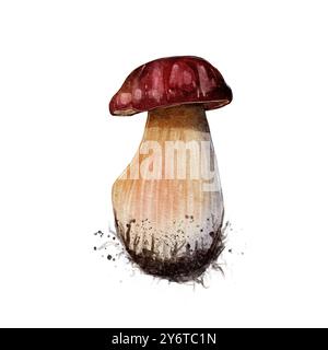 Ein weißer Pilz mit einer braunen Kappe. Aquarellgrafik von hoher Qualität. Stockfoto