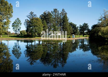 Reflexion von Bäumen im Bootsteich im Cooper Park, Elgin, Moray, Schottland, Großbritannien. Stockfoto