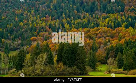 Archäologischer Naturpark Fiavé. Herbstlandschaft. Provinz Trient. Trentino Südtirol, Italien Stockfoto