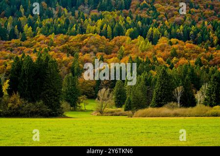 Archäologischer Naturpark Fiavé. Herbstlandschaft. Provinz Trient. Trentino Südtirol, Italien Stockfoto