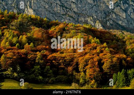 Archäologischer Naturpark Fiavé. Herbstlandschaft. Provinz Trient. Trentino Südtirol, Italien Stockfoto