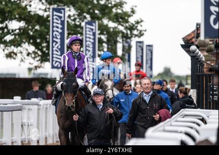 Newmarket, Großbritannien. September 2024. Jockeys auf dem Weg zurück zum Siegergehege nach dem Rennen. Das Cambridgeshire Meeting findet an drei Tagen auf den Newmarket Racecourses statt und ist eines der wichtigsten Veranstaltungen der Herbstsaison. Quelle: SOPA Images Limited/Alamy Live News Stockfoto