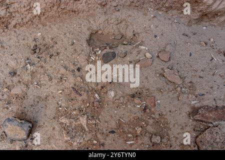 Menschliche Knochenreste am Al-Ukhdud-Standort in Najran, Saudi-Arabien Stockfoto