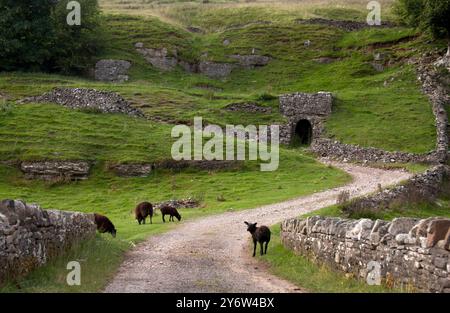 Kalköfen und alte Minen an der B6270 Straße von Keld nach Kirby Stephen, Swaledale, Yorkshire Dales, England Stockfoto