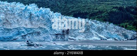 Endstation des Harvard-Gletschers an der Spitze des Harvard-Arms im College Fjord. Stockfoto