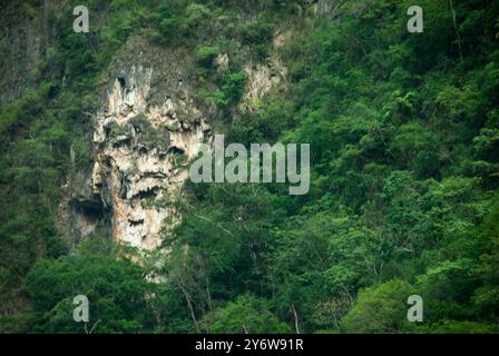 Landschaft eines felsigen Berges im Wald. Stockfoto