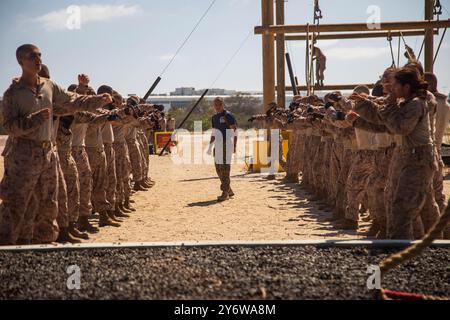 Ein Ausbilder des U.S. Marine Corps bei der India Company, 3rd Recruit Training Battalion, beobachtet Rekruten, die Martial Arts Program Techniques des Marine Corps ausführen, während eines Confidence Courses im Marine Corps Recruit Depot San Diego, Kalifornien, 29. August 2024. Der Confidence-Kurs forderte Rekruten körperlich und geistig durch Hindernisse heraus, die Vertrauen in ihre Stärke, Balance und Entschlossenheit erfordern. (Foto des U.S. Marine Corps von CPL. Elliott A. Flood-Johnson) Stockfoto