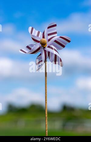 Ein farbenfrohes Windrad mit roten und weißen Streifen steht vor einem verschwommenen grünen Feld und blauem Himmel Hintergrund. Stockfoto