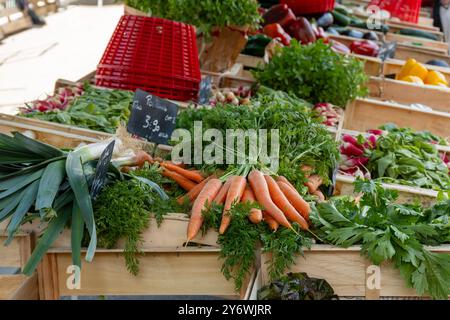 Bauernmarkt im Freien mit saisonalem Bio-Grün, Blättern, Wurzelgemüse, Salat, Rettich, Karotten in Frankreich Stockfoto