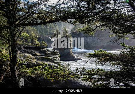 Maka Reservation, Washington, USA. September 2024. Nachmittags wurden Wolken geklärt, um die Schönheit der Ausblicke am Ende des Cape Flattery Trails zu enthüllen. Cape Flattery ist der nordwestlichste Punkt der angrenzenden Vereinigten Staaten. Sie liegt im Clallam County, Washington auf der Olympic Peninsula, wo die Straße von Juan de Fuca in den Pazifik mündet. Es ist auch Teil der Makah Reservation und ist die nördliche Grenze des Olympic Coast National Marine Sanctuary. (Kreditbild: © Bruce Chambers/ZUMA Press Wire) NUR REDAKTIONELLE VERWENDUNG! Nicht für kommerzielle ZWECKE! Stockfoto