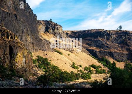 Der Tieton River Canyon ist auf beiden Seiten des Highway 12 mit Andesit- und Basaltsäulen gesäumt, die sich über 20 km erstrecken. Zentrum Von Washington. USA Stockfoto