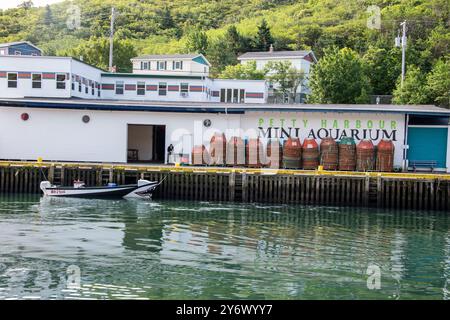 Petty Harbour Mini Aquarium an der Southside Road in Petty Harbour–Maddox Cove, Neufundland & Labrador, Kanada Stockfoto