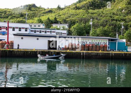 Petty Harbour Mini Aquarium an der Southside Road in Petty Harbour–Maddox Cove, Neufundland & Labrador, Kanada Stockfoto