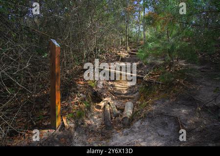 „Navigieren In Der Natur. Holztreppen durchqueren die zerklüftete Landschaft und führen die Wanderer durch das anspruchsvolle Gelände des Garden of Eden Trail.“ Stockfoto