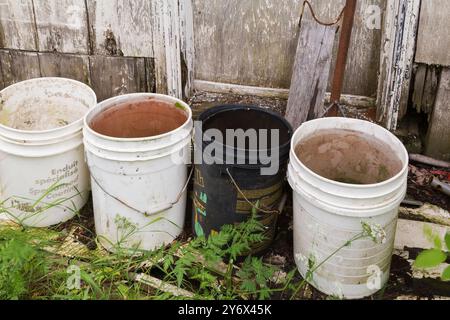 Plastikeimer gefüllt mit gesammeltem Regenwasser vor der seitlichen Eingangstür in der alten, weiß lackierten Holzdiele Scheune im Frühjahr. Stockfoto