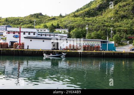 Petty Harbour Mini Aquarium an der Southside Road in Petty Harbour–Maddox Cove, Neufundland & Labrador, Kanada Stockfoto