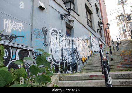 Graffiti-Korridor zwischen Duckworth Street und Water Street in St. John's, Neufundland & Labrador, Kanada Stockfoto