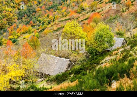 Typische Hütten, Bausen, Aran-Tal, Pyrenäen-Gebirge, Spanien, europa. Stockfoto