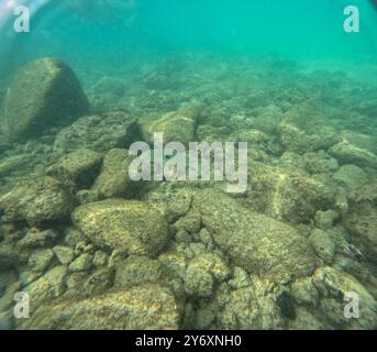 Unter Wasser am Poipu Beach in Kauai, Hawaii, USA Stockfoto