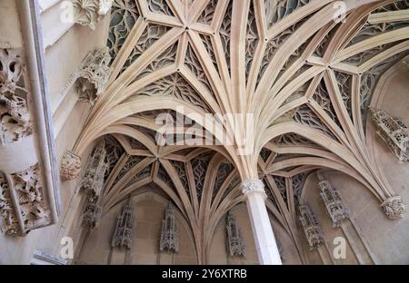 Die Kapelle, das Nationalmuseum des Mittelalters, das Musée de Cluny, Paris. Frankreich Stockfoto