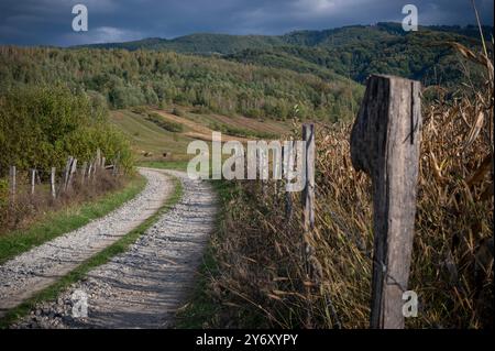 Eine kurvige Schotterstraße führt durch eine malerische ländliche Landschaft. Der Weg wird von einem verwitterten Holzzaun und hohen Gräsern eingerahmt, die sich im Wind bewegen Stockfoto