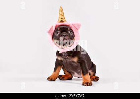 Niedlicher brauner französischer Bulldog Hündchen mit niedlichem rosa Einhornhut mit goldenem Horn Stockfoto