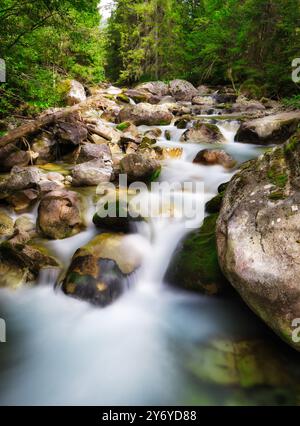 Wunderschönes fließendes Wasser an bergigen Orten, lange Exposition von schnellen starken Strömen. Fluss in den Bergen, Wald im Hintergrund Stockfoto