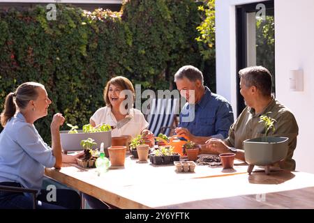 Ältere, vielfältige Freunde, die gemeinsam im Garten arbeiten, Pflanzen und plaudern, im Freien, zu Hause Stockfoto