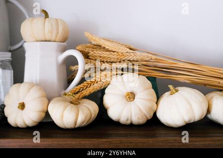 Kleine Weiße Kürbisse Auf Rustikalem Holz Mit Natürlichem Weizen Stockfoto