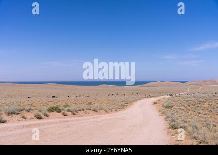 Eine Straße in der Wüste mit einem blauen Himmel im Hintergrund Stockfoto