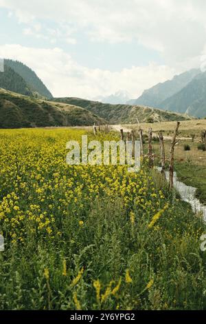 Das Bild fängt das Wesen der Ruhe und des ländlichen Lebens ein Stockfoto