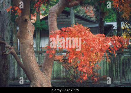 Details zu den Eingängen und Dächern der Stadt Koyasan Street Stockfoto