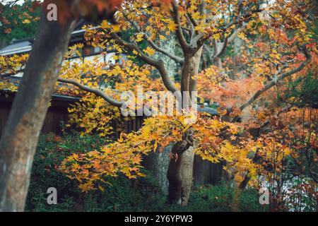 Details zu den Straßen von Koyasan im Herbst Stockfoto