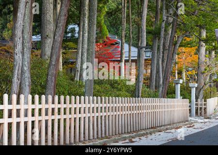 Details zu den Straßen von Koyasan im Herbst Stockfoto