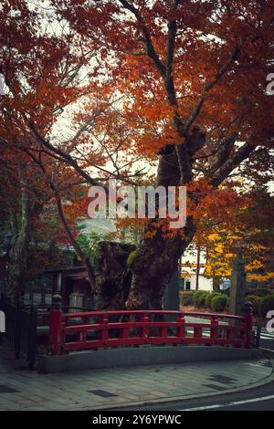 Details zu den Straßen von Koyasan im Herbst Stockfoto