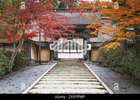 Details zu den Straßen von Koyasan im Herbst Stockfoto