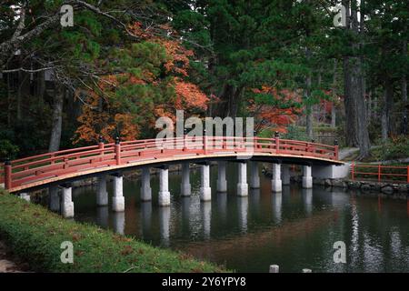 Rote Arkadenbrücke in koya Stockfoto