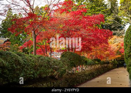 Details zu den Straßen von Koyasan im Herbst Stockfoto