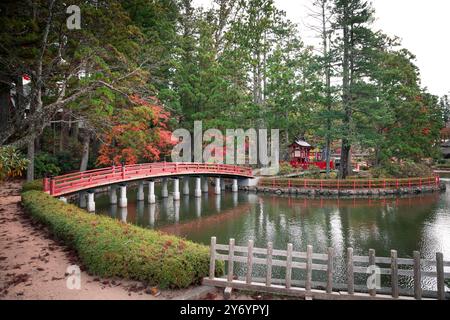 Rote Brücke im Koya Park Stockfoto