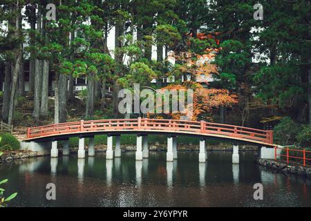 Rote Bogenbrücke im Herbst Stockfoto