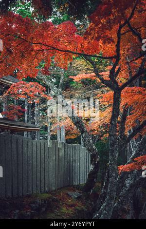 Details der roten Farben über der Wand in Koya Stockfoto