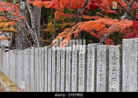 Rote Farben über der Wand in Koya Stockfoto